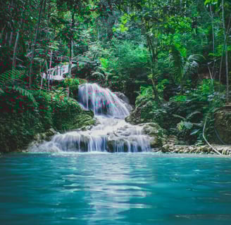 a waterfall in the middle of a jungle