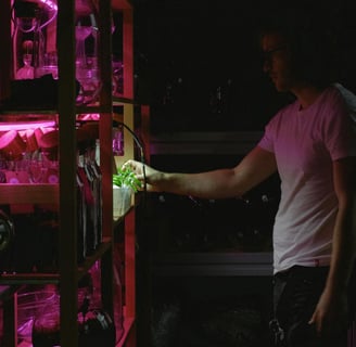 a man in a pink shirt is holding a green plant