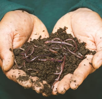 a person holding a handful of worms in their hands