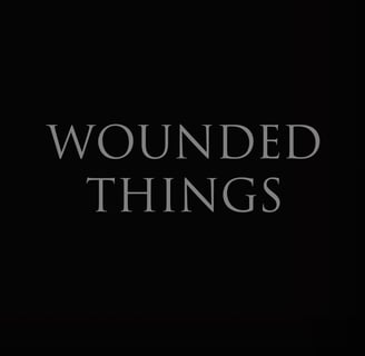 Wounded Things by Samantha Lovelock placeholder cover