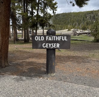 Old Faithful