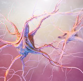 neuromarketing blog image