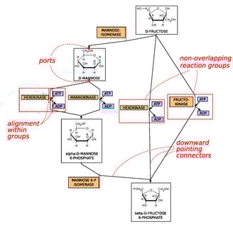 Diagram of a Metabolic Pathway