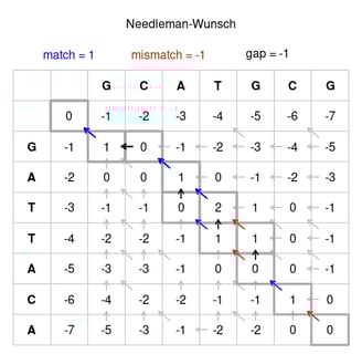 Representation of the Needleman Wunsch Algorithm