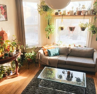 Cozy living room with accessories and plants, featured by Regal Touch Home.