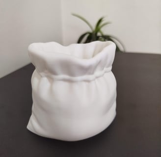 3d Printed white sack