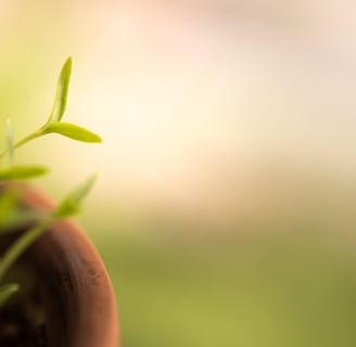 Lead Generation (Cyprus)