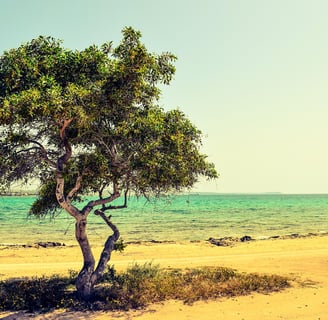 Lead Generation in Cyprus