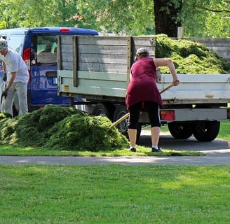Landscaping SEO in Cyprus: Growing Your Green Business Online