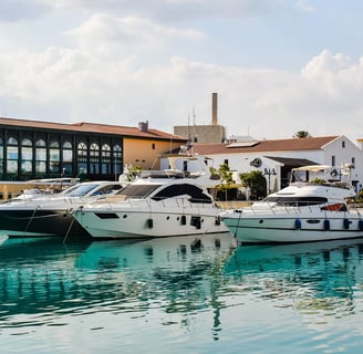 SEO Limassol: Improve Rankings & Get More Leads