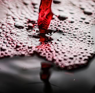 SEO for the Wine Industry in Cyprus