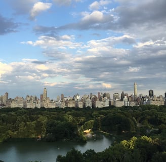 A view of Central Park and the NYC skyline