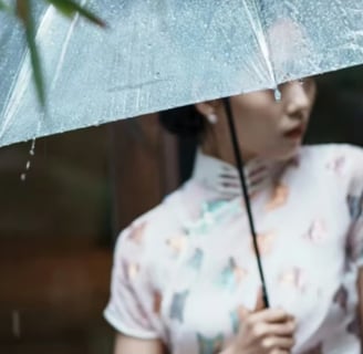The Qipao: A Symphony of Tradition and Innovation