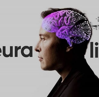 neuralink elon musk bci