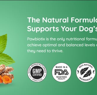 Image of a health supplement for dogs called Pawbiotix