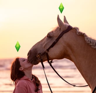 es sims cheval cavalier plage coucher de soleil