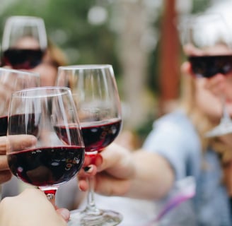 Amigos compartilhando uma taça de vinho