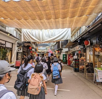 Omotesando Shopping Street in Miyajima