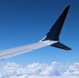 Boeing 8 Max SIngapore Airline stitched up with silvertape
