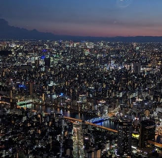 The view from Tokyo Skytree at sunset