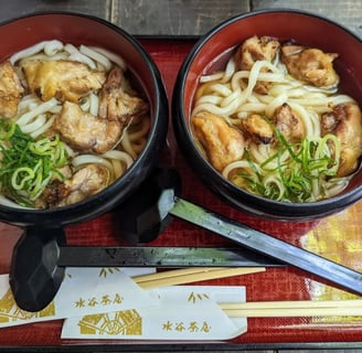 Udon noodles in Nara Park