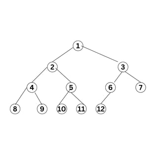 Binary Tree