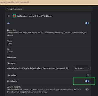 youtube summary settings