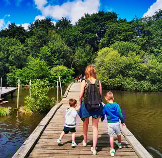 étang dans les landes avec les enfants
