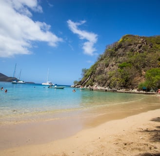 Paysage de guadeloupe