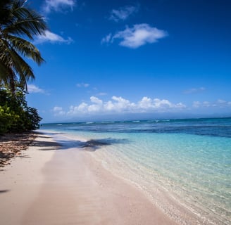 plage de guadeloupe eau turquoise