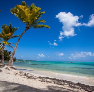 plage paradisiaque de guadeloupe