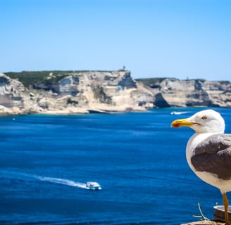 bonifacio en famille vacances