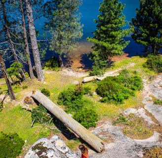Balade en famille dans une forêt corse