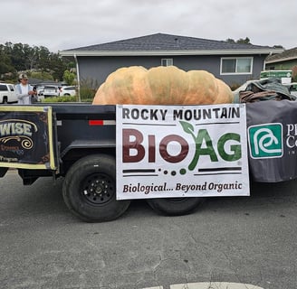 2023 World record Gient Pumpkin Sponser Trailer with The record breaking pumpkin in the back