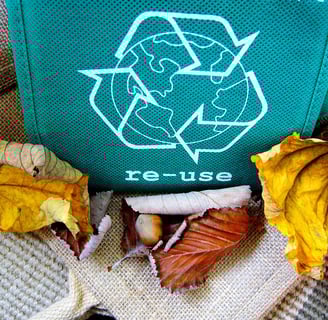 eco-friendly 