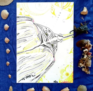 dessin de raie manta aux motifs psychédéliques au feutre fin . Cadre d'objets naturels de la mer