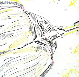 dessin de raie manta aux motifs psychédéliques au feutre fin r