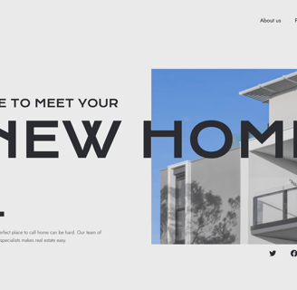 picture of website