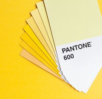 palette couleur jaune