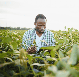 a man in a plaid shirt is standing in a field with a tablet