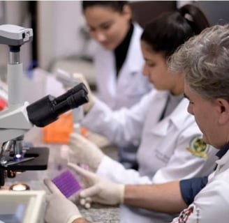 Pesquisadores da UFMG estudando a Calixcoca