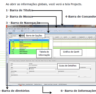 Como é o Duiretório Projects do Primavera P6
