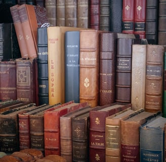 a bunch of books on a shelf in a bookcase