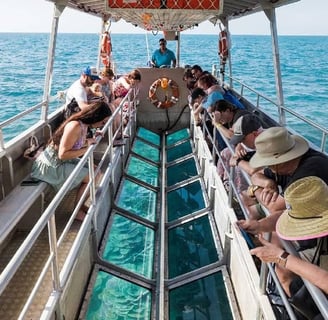Coral Reef Glass-Bottom Boat 