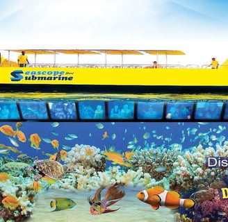 Seascope Submarine boat cruise