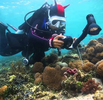 Scuba diver exploring Red Sea shipwreck near Hurghada.