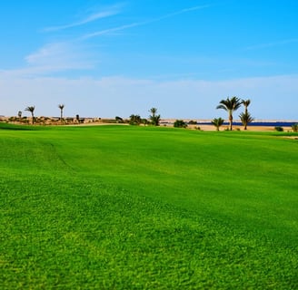 Golfing at Madinat Makadi championship course with Red Sea views