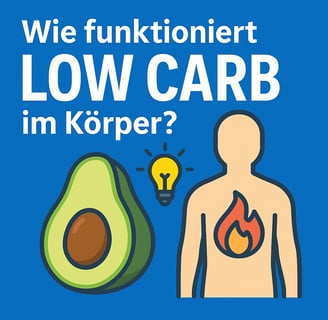 Low Carb Wirkung im Körper – anschauliche Grafik mit Avocado, Flamme und Glühbirne.