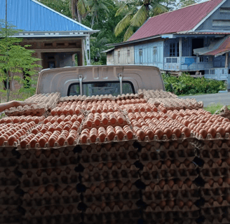 fresh table eggs in truck from indoeggs ready delivery to custumer