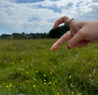 field in brighton, england